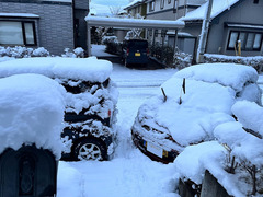 r06.2.26㉓雪