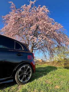r06.4.14⑪洗車