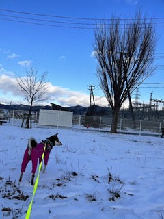 r05.12.25③メリクリ