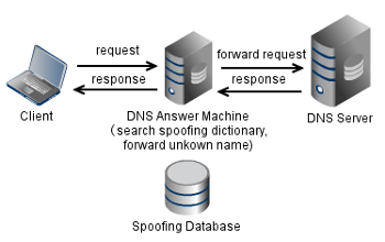 DNS_Ans_Machine1