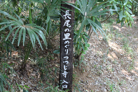 長ノ尾の里つつじ寺