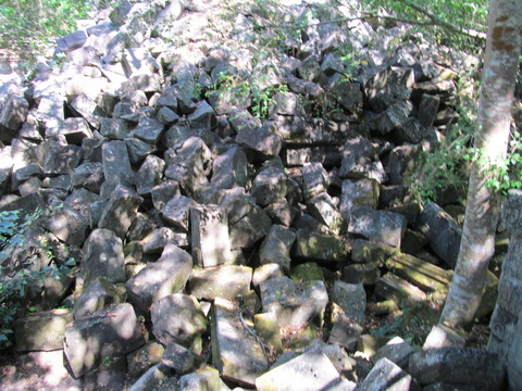 画像 585