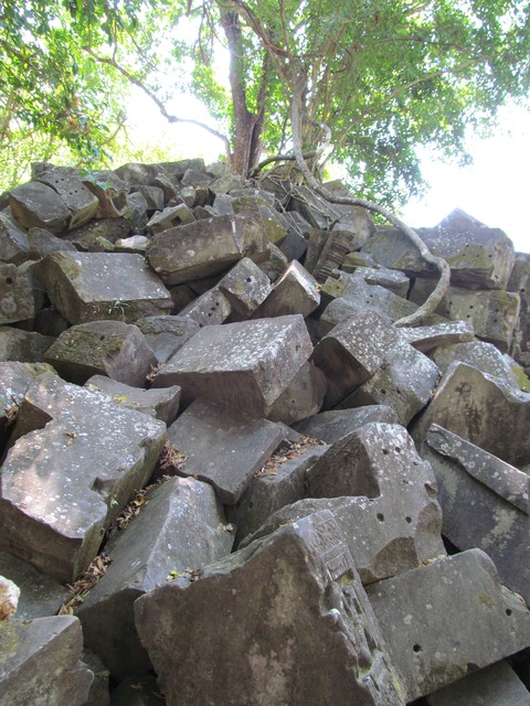 画像 581