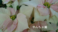 BlogPaint