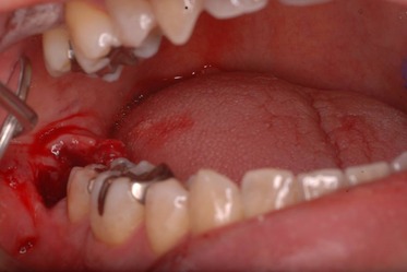 50713187_2063602083716433_8477453105074536448_n[1]