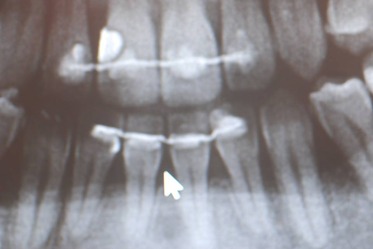 50027937_2063630210380287_7659546351000092672_n[1]