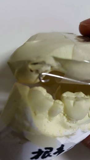 12390835_913410368735616_1585270427747784944_n[1]