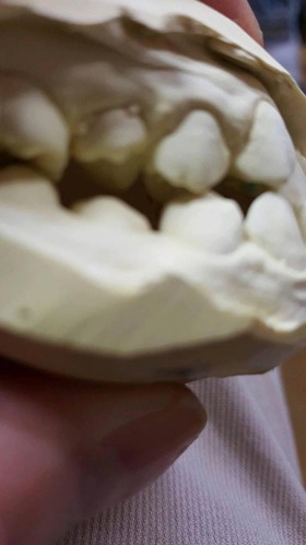 42320511_1905117592898217_6663574363117191168_n[1]