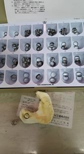 10245481_823364777740176_8111768794191465248_n