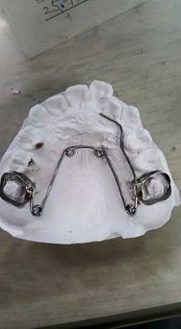 11425441_823364741073513_411140671149442094_n