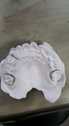 11392976_823364751073512_1941356326117287984_n