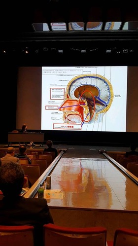 40095771_1869579309785379_6703400375082287104_n[1]