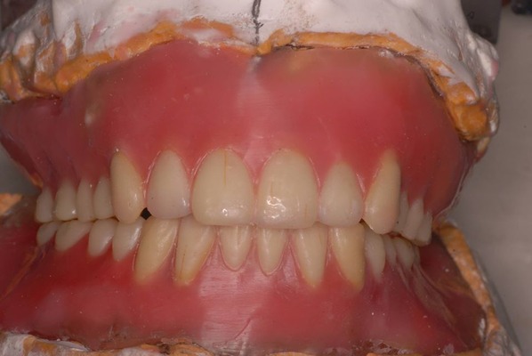 facebook2884412_555885504488106_857920820_o