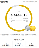 保有する金地金の含み損益（2021年1月10日時点）