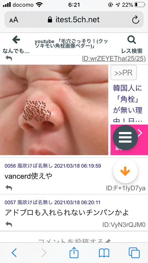 Youtube 毛穴ごっそり クッソキモい角栓画像ペター ネラーボイス