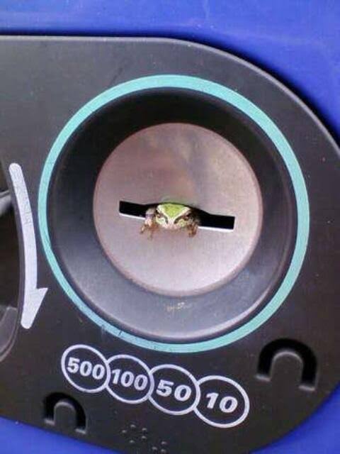 no title