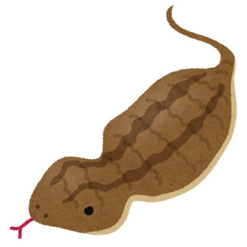 animal_tsuchinoko