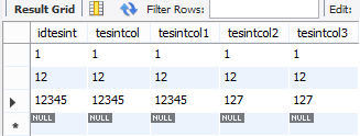 Mysql の Int 系のカッコの数字 X B Z A Y C