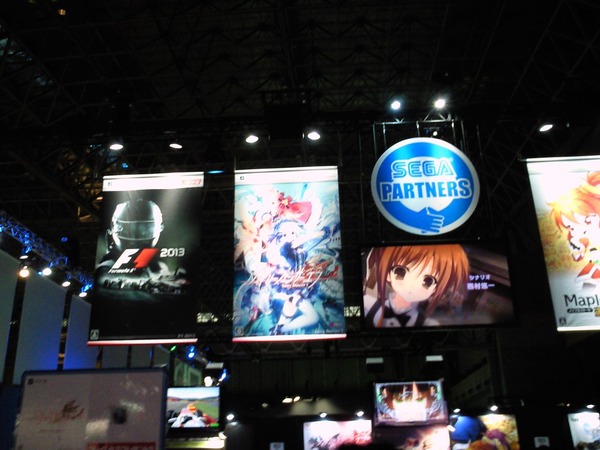 TGS2013_011