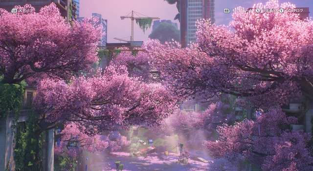 鳴潮_29066