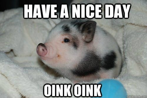oink