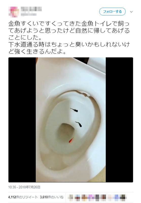 【ツイッター】金魚をトイレに流して「自然に帰してあげる」 SNSに動画投稿し非難殺到 ネトウヨにゅーす。
