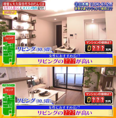 年収300万円台の女性が東京で新築マンションを買う テレビで見るとすぐネット通販で買っちゃうミユウの日常