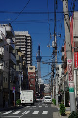 画像 312