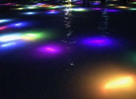IMG_0922