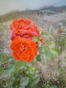 Power of RED