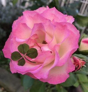 今、ここで。