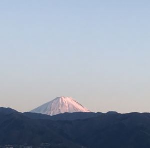 200323