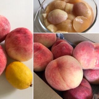 大量の桃を頂いたので♡