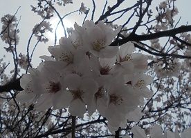 ありがとうございました♪