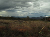 IMG_0612_61