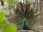 50b58645.jpg