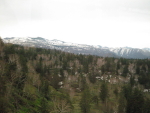 5305e427.jpg