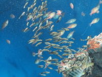IMG_2422_7
