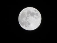 IMG_3179_9
