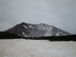 e7a48499.jpg