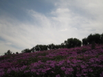f64d8d41.jpg