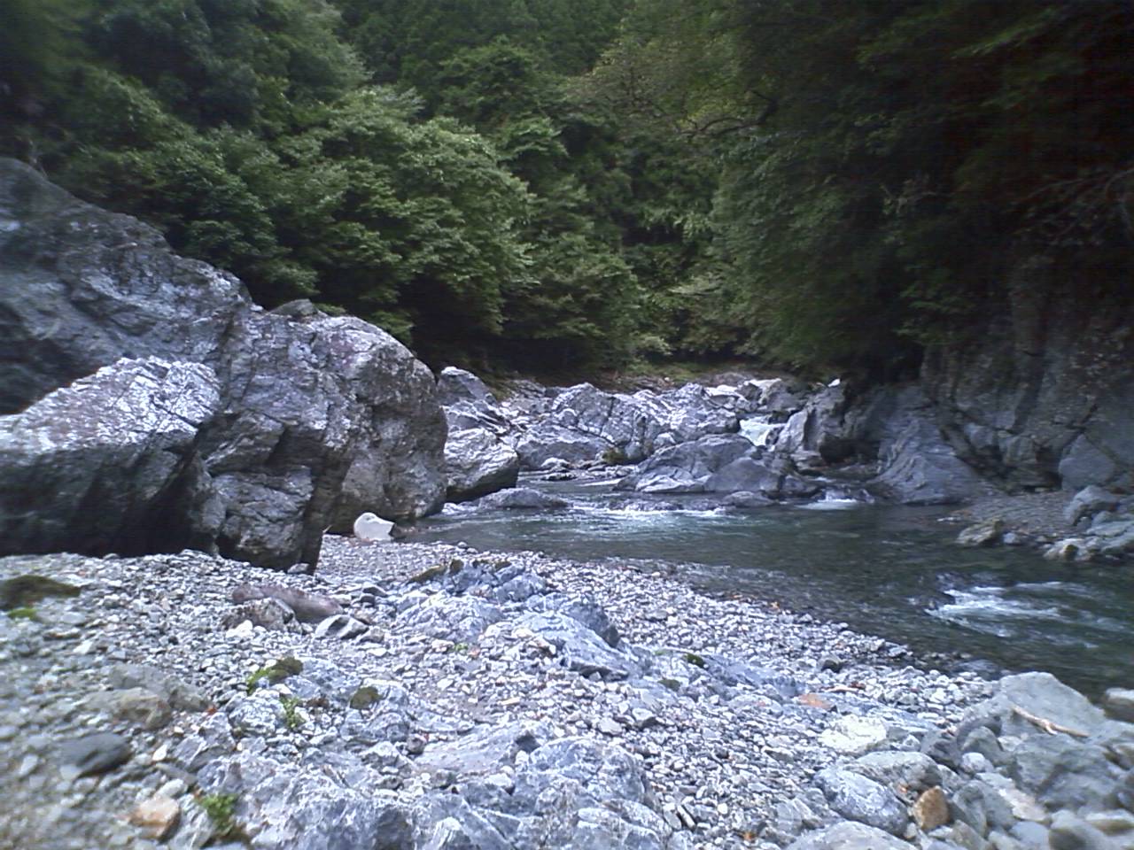 奈良県川上村の山奥で渓流釣り 釣りキチ親父のナチュラルトリップ