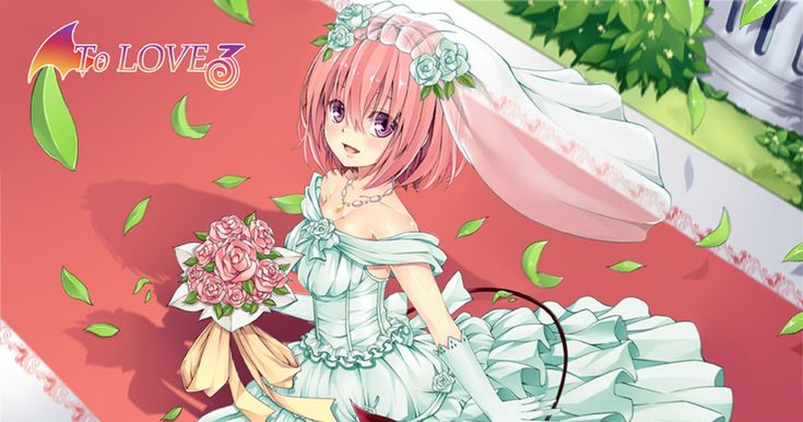 【ドルウェブ】好きだけど性能も制限も微妙だとなぁ…