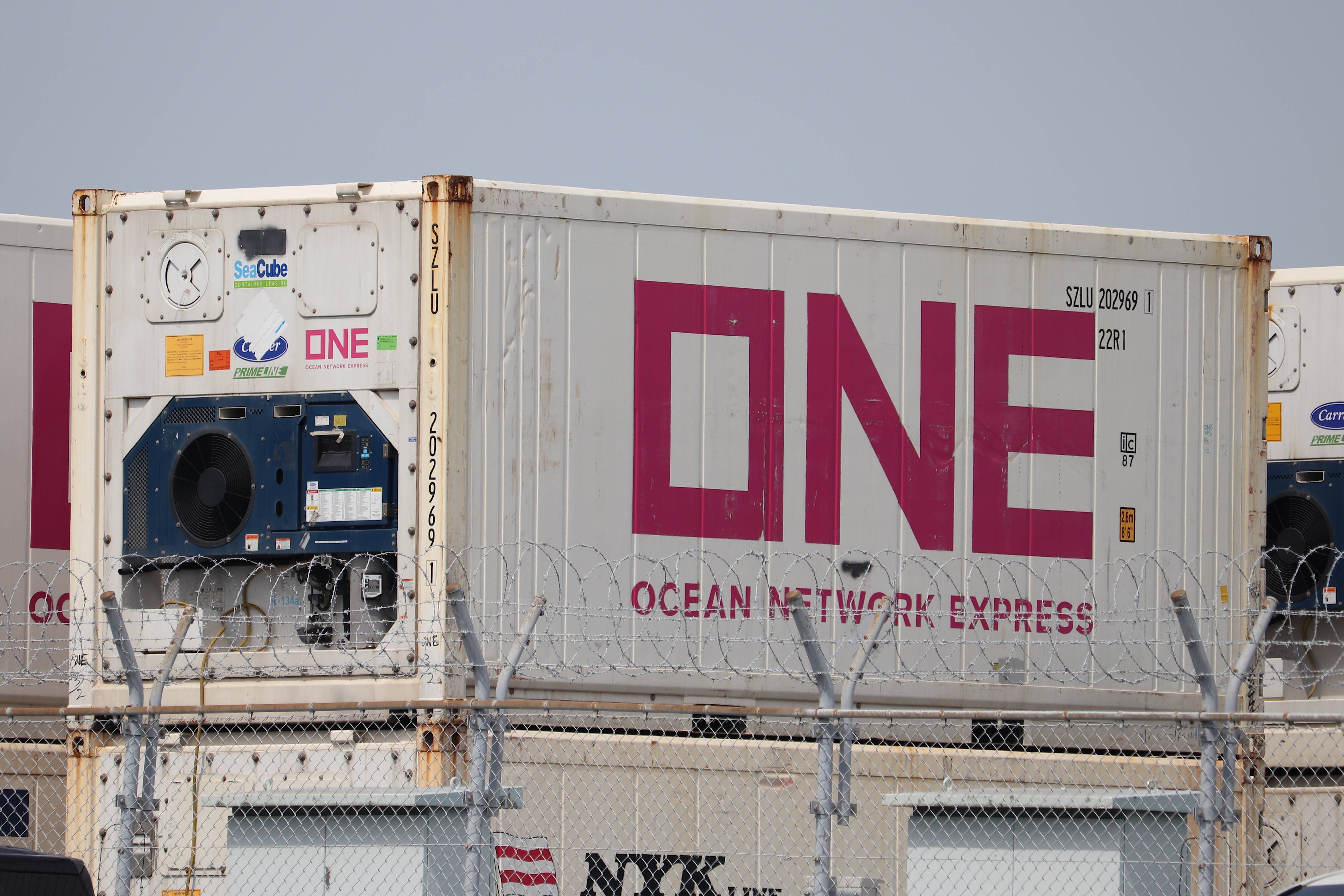 SZLU 202969 1 : new_ilya's Container Archives