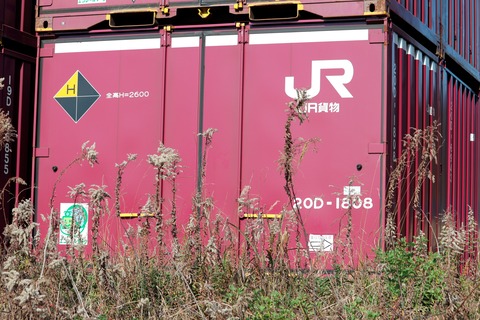 20D-1808 : new_ilya's Container Archives