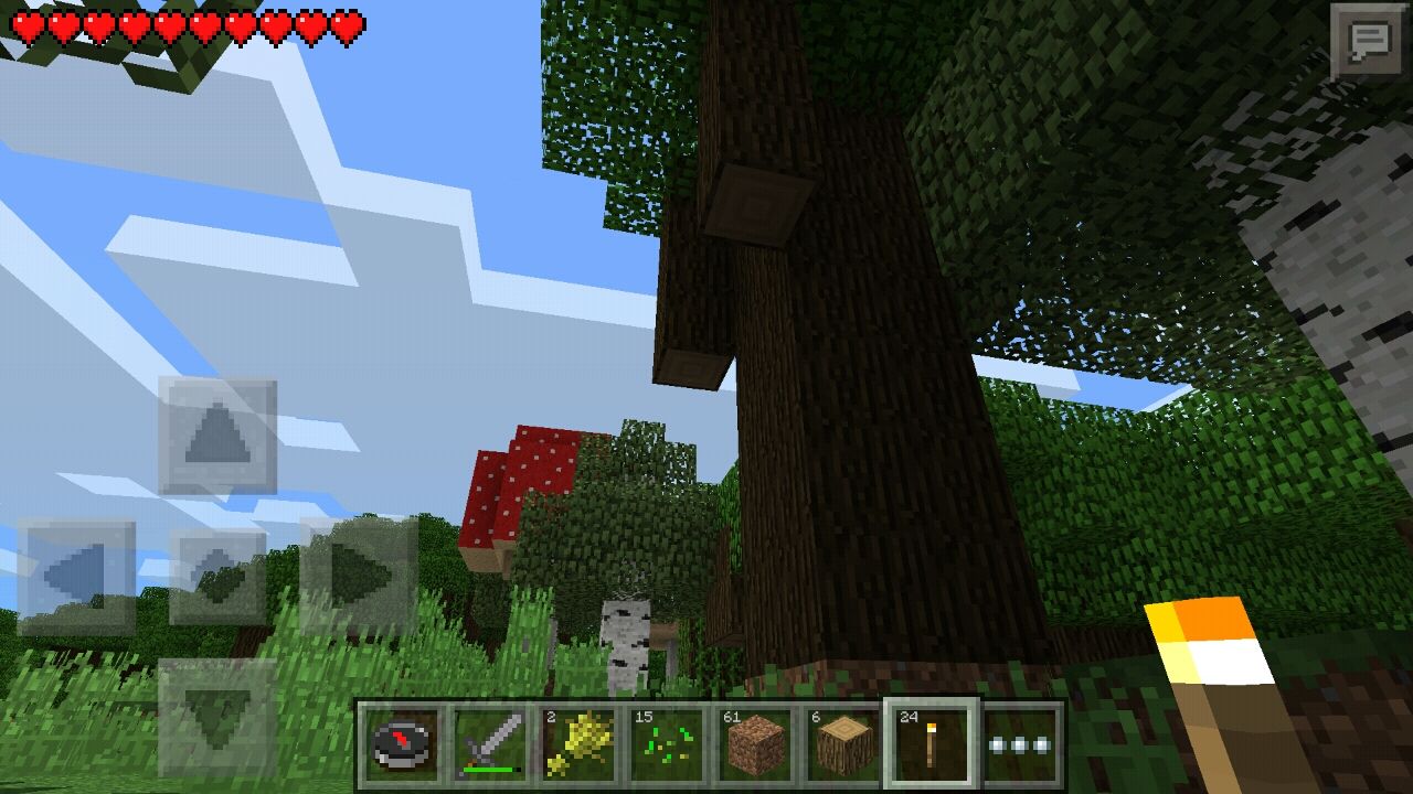 マイクラで優雅なオーシャンビュー生活を目指す その9 新生 それでいいんだよ マイクラで優雅なオーシャンビュー生活を目指す その9 新生 それでいいんだよ