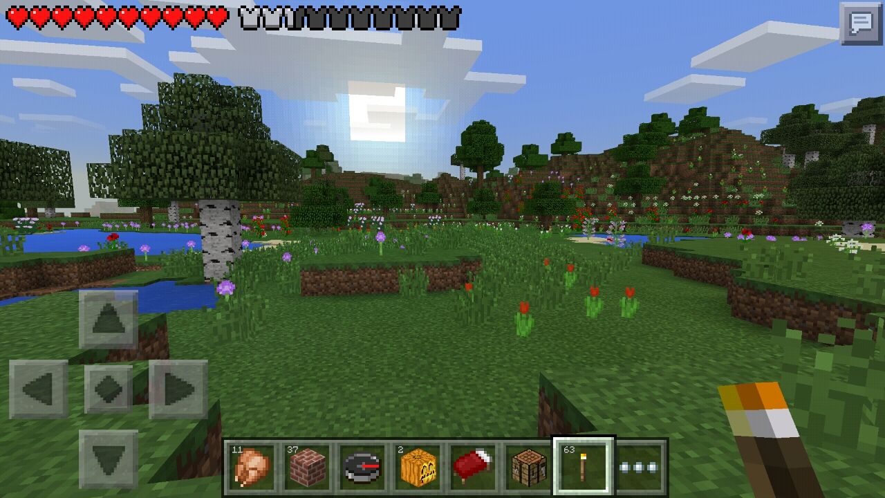 マイクラで絶景探しの流浪の旅 その5 新生 それでいいんだよ マイクラで絶景探しの流浪の旅 その5 新生 それでいいんだよ