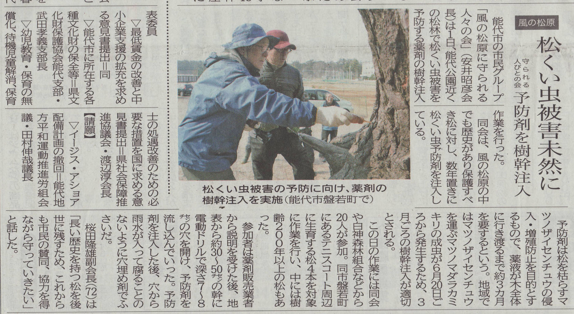 樹幹注入の北羽新報記事 新 風の松原を歩く
