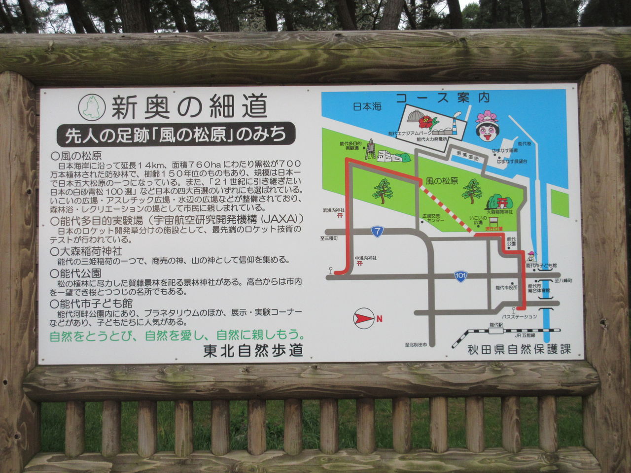 東北自然歩道＜能代＞ : 新・風の松原を歩く
