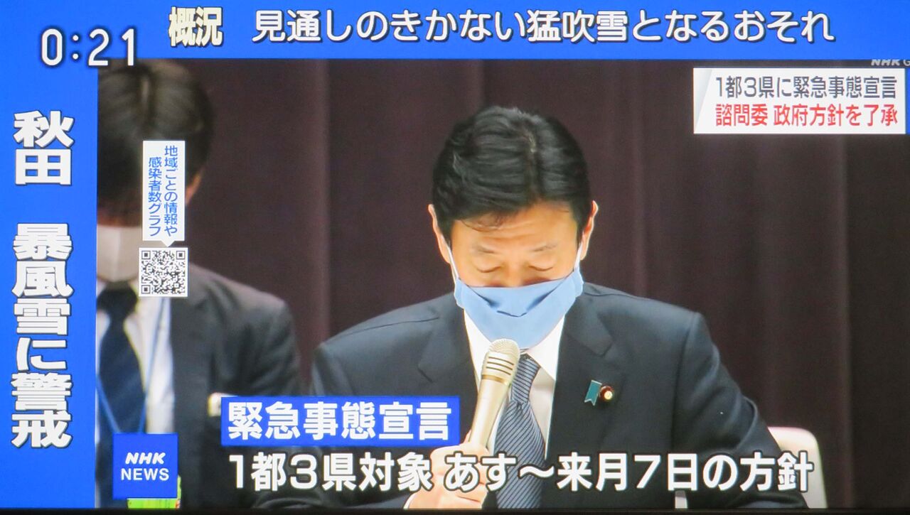 今朝は寒いが天気が良い 新 風の松原を歩く